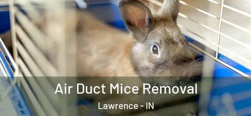  Air Duct Mice Removal Lawrence - IN