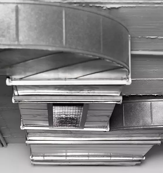 Professional Air Duct Pest Removal in Lawrence, IN