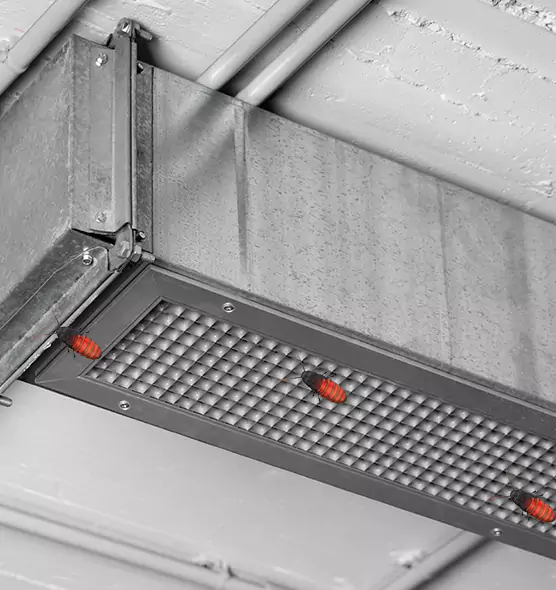 Affordable Insect Removal from Air Ducts in Lawrence, IN