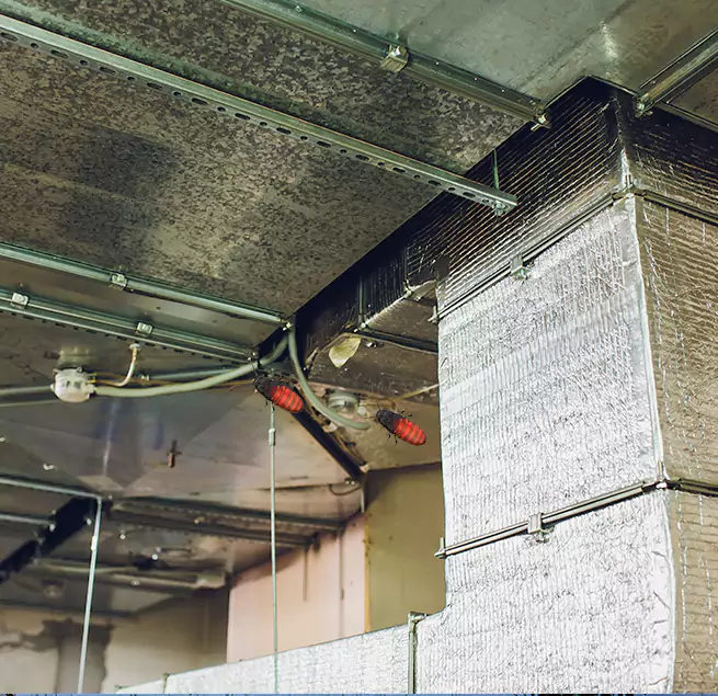 Why Homeowners & Businesses Trust Us in Lawrence, IN?