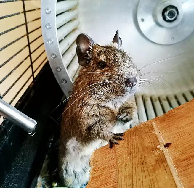 Why Homeowners & Businesses Trust Us Lawrence, IN?